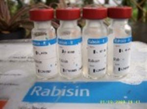 Picture of วัคซีนป้องกันพิษสุนัขบ้า (1 โด๊ส/ตัว) ยี่ห้อ Rabisin / Virback
